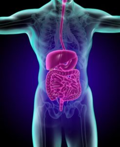 大腸ポリープの大きさとがんの関係性について